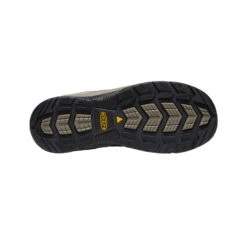 Keen Men's Flint II Waterproof (Steel Toe) | Cascade Brown/Orion Blue 9 Keen Men's Flint II Waterproof (Steel Toe) | Cascade Brown/Orion Blue -Keen 7e1f122313dadcf4375d2ebf52589ee97f6325a7